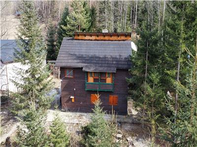 Cabana pentru  supravietuire, sursa de apa, lemne, parau pe proprietate, fantana si un hectar de teren.