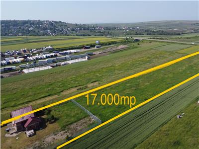 Teren 1.7ha in Suceava de vinzare
Teren  4400 mp de inchiriat