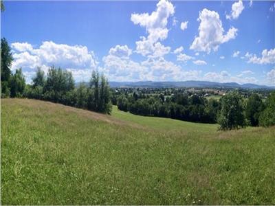 Teren in Horodnic de Sus, pe Osoi 
1 ha