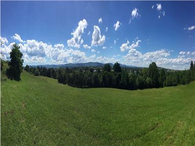 Teren in Horodnic de Sus, pe Osoi 
1 ha