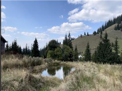 3 Hectare teren in varf de munte  si 2 cabane pe traseul Via Transilvanica