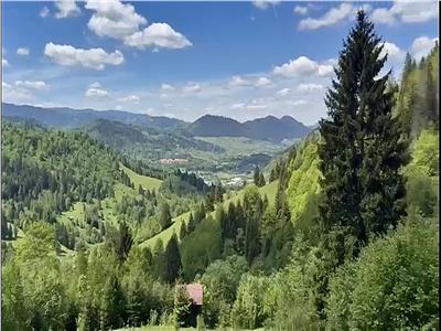 Teren de 10Ha in Bucovina BEST VIEW