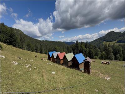 Teren 5ha in Munții Rarau