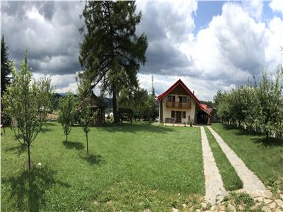 Cabana la Munte - Vatra Dornei 130000 Eur
