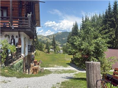 Cabana  Elvetiana din Bucovina - 14 camere